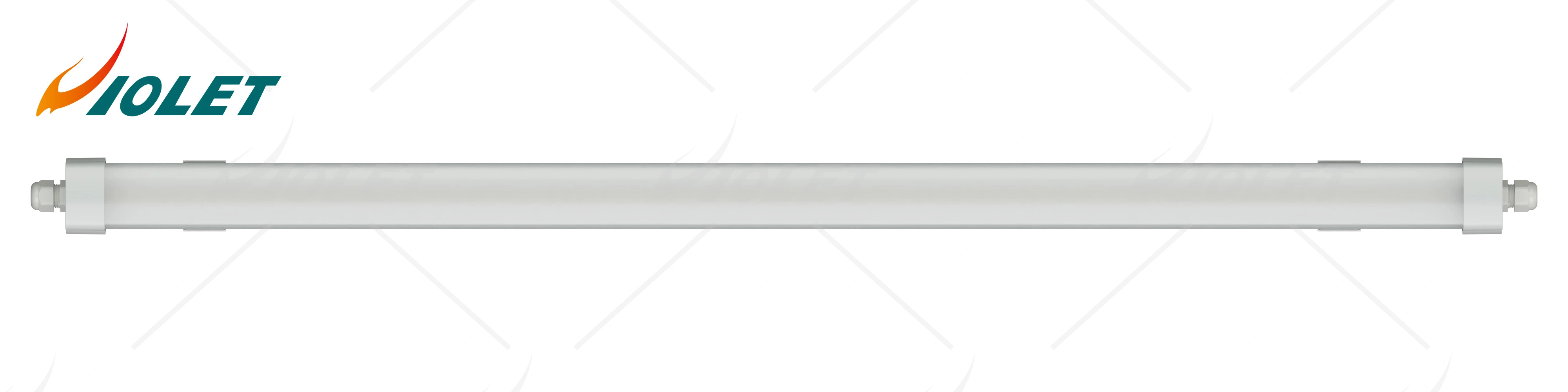 IP65 IK08 Waterproof Light VE-GS